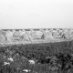 Archiv der Region Hannover, ARH NL Dierssen 0124/0014, Getreidernte