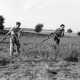 ARH NL Dierssen 0127/0021, Heuernte