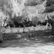 ARH NL Dierssen 0127/0025, Hannoversche Kinderheilanstalt