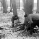ARH NL Dierssen 0141/0002, Holzfäller im Saupark