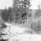ARH NL Dierssen 0143/0011, Schneeaufnahmen, Springe