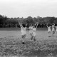 Archiv der Region Hannover, ARH NL Dierssen 0147/0018, Sportfest