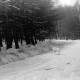ARH NL Dierssen 0153/0020, Reh im Schnee, Springe