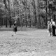 Archiv der Region Hannover, ARH NL Dierssen 0157/0008, Familie Graf