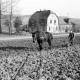 Archiv der Region Hannover, ARH NL Dierssen 0162/0007, Frühjahrs-Feldbestellung