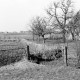 Archiv der Region Hannover, ARH NL Dierssen 0164/0003, Bach