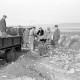 ARH NL Dierssen 0164/0012, Rübensäuberungsmaschine