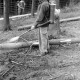 ARH NL Dierssen 0168/0022, Borkenkäfer Bekämpfung