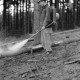 Archiv der Region Hannover, ARH NL Dierssen 0168/0023, Borkenkäfer Bekämpfung