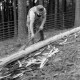 Archiv der Region Hannover, ARH NL Dierssen 0168/0024, Borkenkäfer Bekämpfung