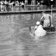 Archiv der Region Hannover, ARH NL Dierssen 0174/0001, Schwimmfest