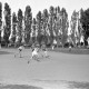 ARH NL Dierssen 0176/0011, Stadt gegen Fa. Sohns