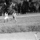 Archiv der Region Hannover, ARH NL Dierssen 0176/0013, Stadt gegen Fa. Sohns
