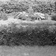 Archiv der Region Hannover, ARH NL Dierssen 0182/0017, Russische Kriegsgräber