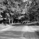 Archiv der Region Hannover, ARH NL Dierssen 0206/0022, Kastaniensucher