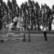 Archiv der Region Hannover, ARH NL Dierssen 0207/0002, Reittunier (Tag des Roten Kreuzes)