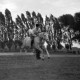 ARH NL Dierssen 0207/0014, Reittunier (Tag des Roten Kreuzes)