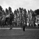 Archiv der Region Hannover, ARH NL Dierssen 0207/0017, Reittunier (Tag des Roten Kreuzes)