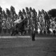 ARH NL Dierssen 0207/0018, Reittunier (Tag des Roten Kreuzes)