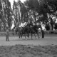 Archiv der Region Hannover, ARH NL Dierssen 0208/0027, Tag des Roten Kreuzes (Umzug und Reiten)