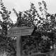 Archiv der Region Hannover, ARH NL Dierssen 0211/0023, Wegweiser Jägerallee