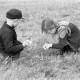 ARH NL Dierssen 1016/0003, Kinder mit Schlüsselblumen