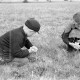 Archiv der Region Hannover, ARH NL Dierssen 1016/0004, Kinder mit Schlüsselblumen