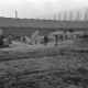Archiv der Region Hannover, ARH NL Dierssen 1020/0006, Zirkus Althoff