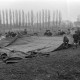Archiv der Region Hannover, ARH NL Dierssen 1020/0007, Zirkus Althoff
