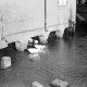 ARH NL Dierssen 1023/0014, Dorfteich mit Enten