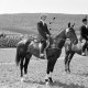 ARH NL Dierssen 1046/0015, Reitturnier, Springe