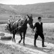 ARH NL Dierssen 1046/0020, Reitturnier, Springe