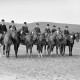 Archiv der Region Hannover, ARH NL Dierssen 1046/0030, Reitturnier, Springe