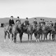 Archiv der Region Hannover, ARH NL Dierssen 1047/0001, Reitturnier, Springe