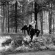 Archiv der Region Hannover, ARH NL Dierssen 1047/0010, Reitturnier, Springe
