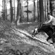 Archiv der Region Hannover, ARH NL Dierssen 1047/0015, Reitturnier, Springe