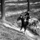 ARH NL Dierssen 1047/0017, Reitturnier, Springe