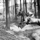 Archiv der Region Hannover, ARH NL Dierssen 1047/0018, Reitturnier, Springe