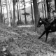 Archiv der Region Hannover, ARH NL Dierssen 1047/0026, Reitturnier, Springe