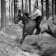 Archiv der Region Hannover, ARH NL Dierssen 1047/0027, Reitturnier, Springe