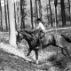Archiv der Region Hannover, ARH NL Dierssen 1048/0008, Reitturnier, Springe