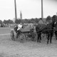 ARH NL Dierssen 1048/0011, Reitturnier, Springe