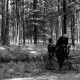 Archiv der Region Hannover, ARH NL Dierssen 1048/0021, Reitturnier, Springe
