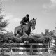 ARH NL Dierssen 1048/0024, Reitturnier, Springe