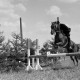 Archiv der Region Hannover, ARH NL Dierssen 1048/0025, Reitturnier, Springe