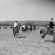 Archiv der Region Hannover, ARH NL Dierssen 1049/0010, Reitturnier, Springe