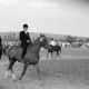 Archiv der Region Hannover, ARH NL Dierssen 1049/0016, Reitturnier, Springe