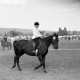 ARH NL Dierssen 1049/0017, Reitturnier, Springe