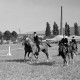 Archiv der Region Hannover, ARH NL Dierssen 1049/0022, Reitturnier, Springe