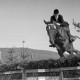 ARH NL Dierssen 1050/0008, Reitturnier, Springe